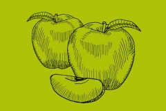 Most Bottled Apfelcider schwarzstoff Illustration